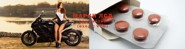 стафф Алзамай