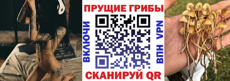 Псилоцибиновые грибы Psilocybe  сколько стоит  Павловский Посад 